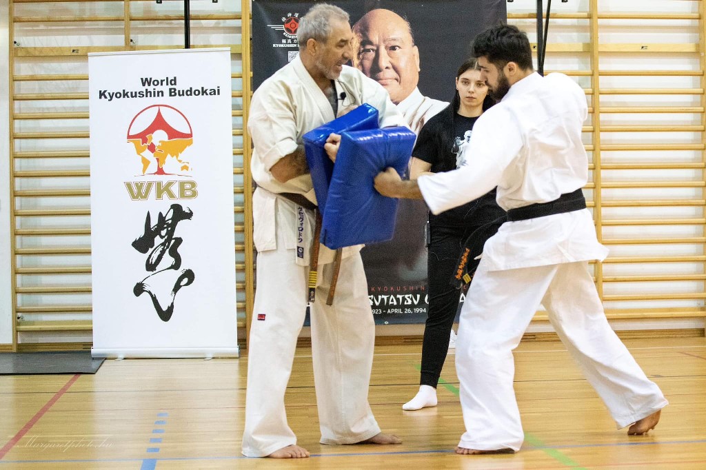 Shihan Sergei Vsevolodov Szeminárium