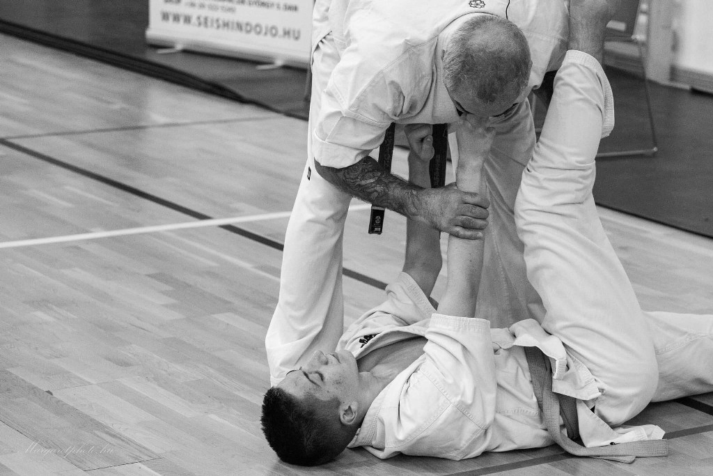 Shihan Sergei Vsevolodov Szeminárium