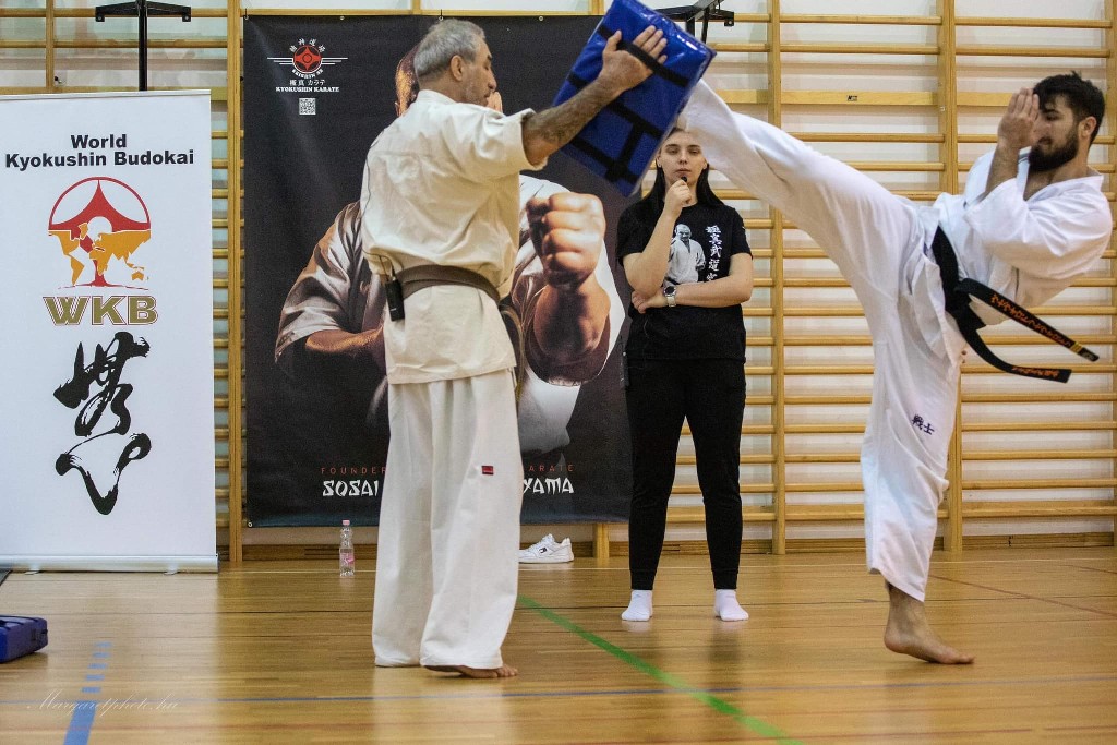Shihan Sergei Vsevolodov Szeminárium