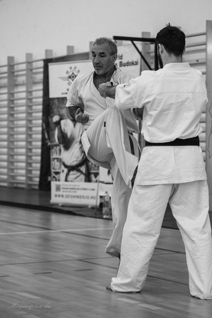 Shihan Sergei Vsevolodov Szeminárium