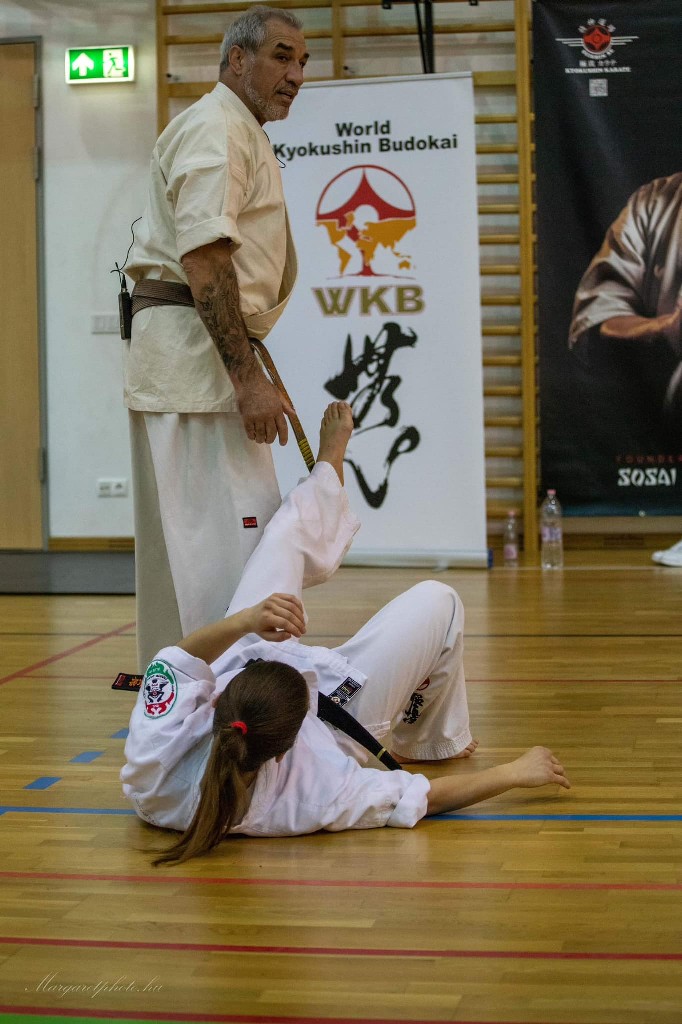 Shihan Sergei Vsevolodov Szeminárium