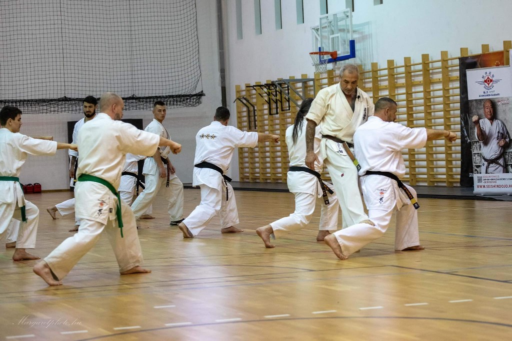 Shihan Sergei Vsevolodov Szeminárium