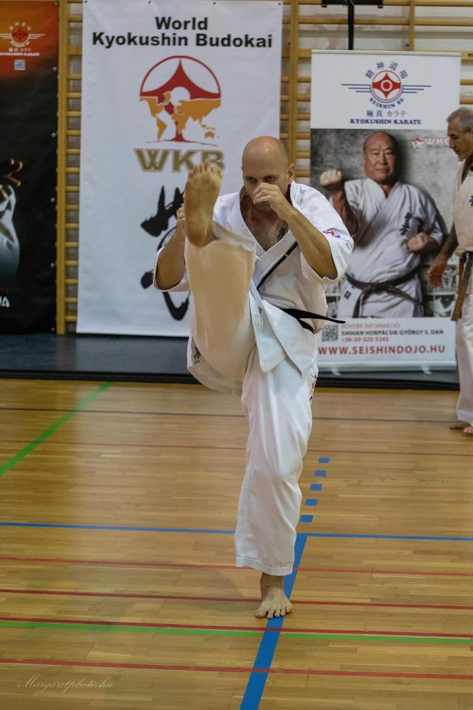 Shihan Sergei Vsevolodov Szeminárium