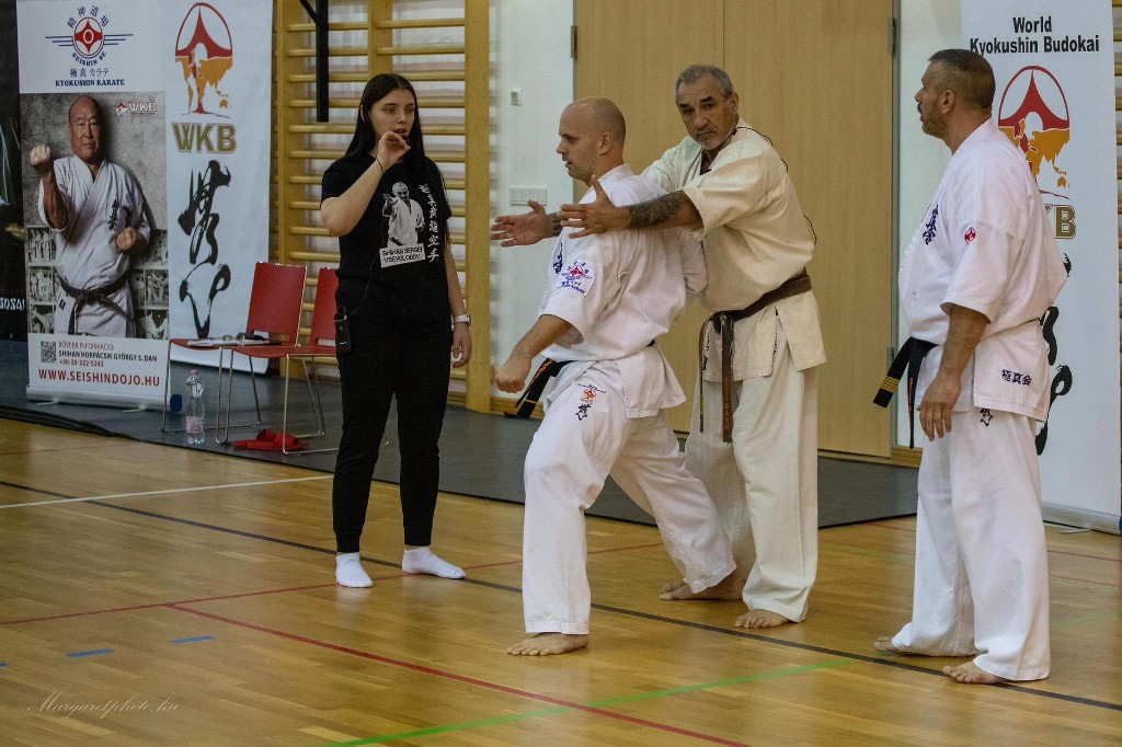 Shihan Sergei Vsevolodov Szeminárium