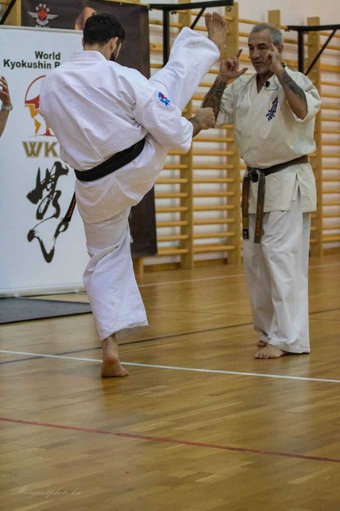 Shihan Sergei Vsevolodov Szeminárium