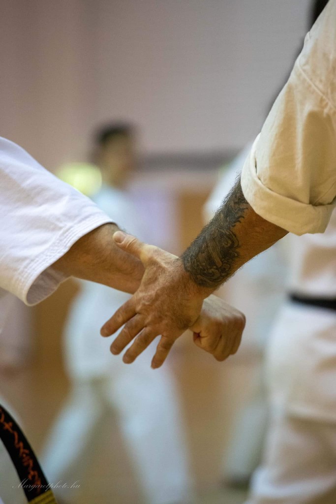 Shihan Sergei Vsevolodov Szeminárium