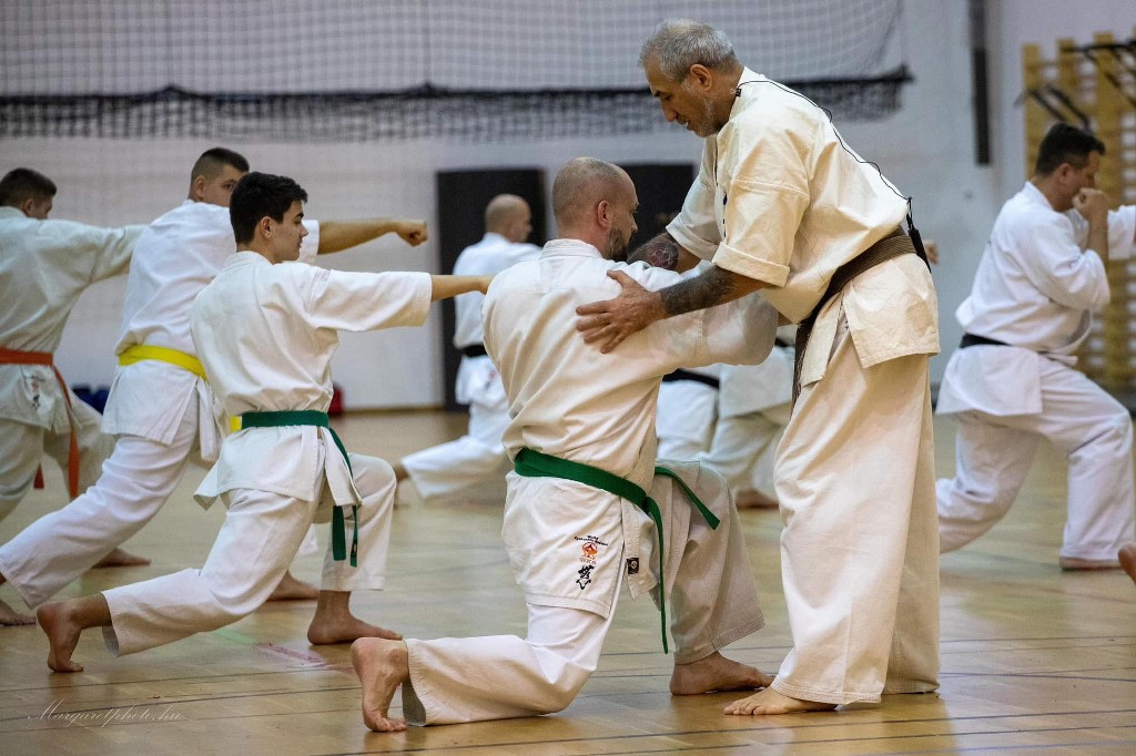 Shihan Sergei Vsevolodov Szeminárium