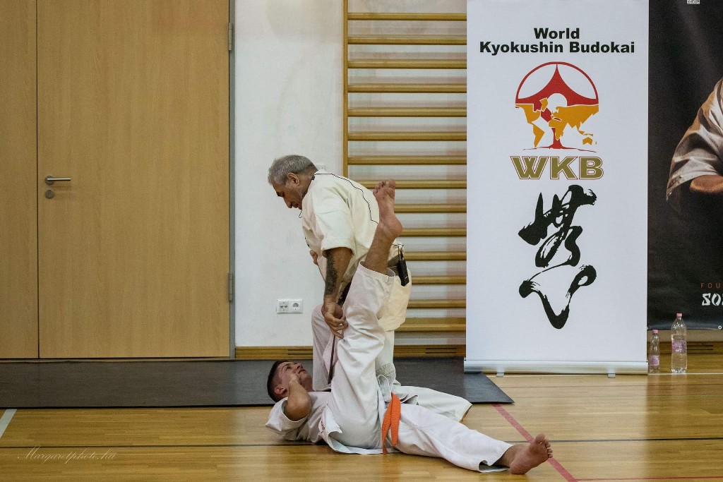 Shihan Sergei Vsevolodov Szeminárium