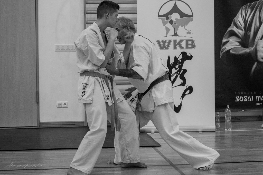 Shihan Sergei Vsevolodov Szeminárium