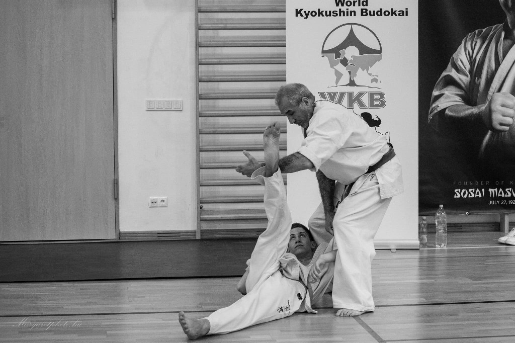 Shihan Sergei Vsevolodov Szeminárium