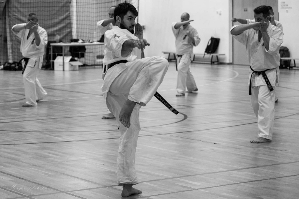 Shihan Sergei Vsevolodov Szeminárium