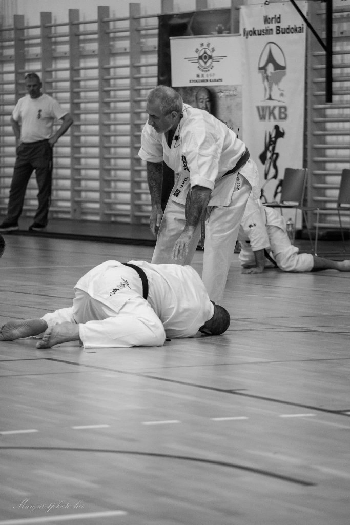 Shihan Sergei Vsevolodov Szeminárium