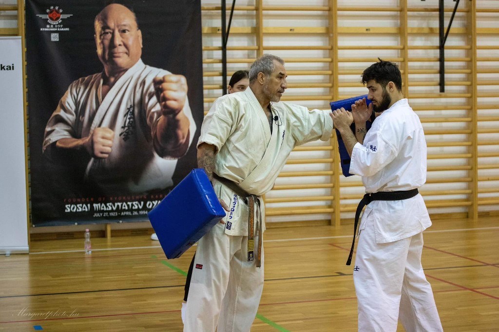 Shihan Sergei Vsevolodov Szeminárium