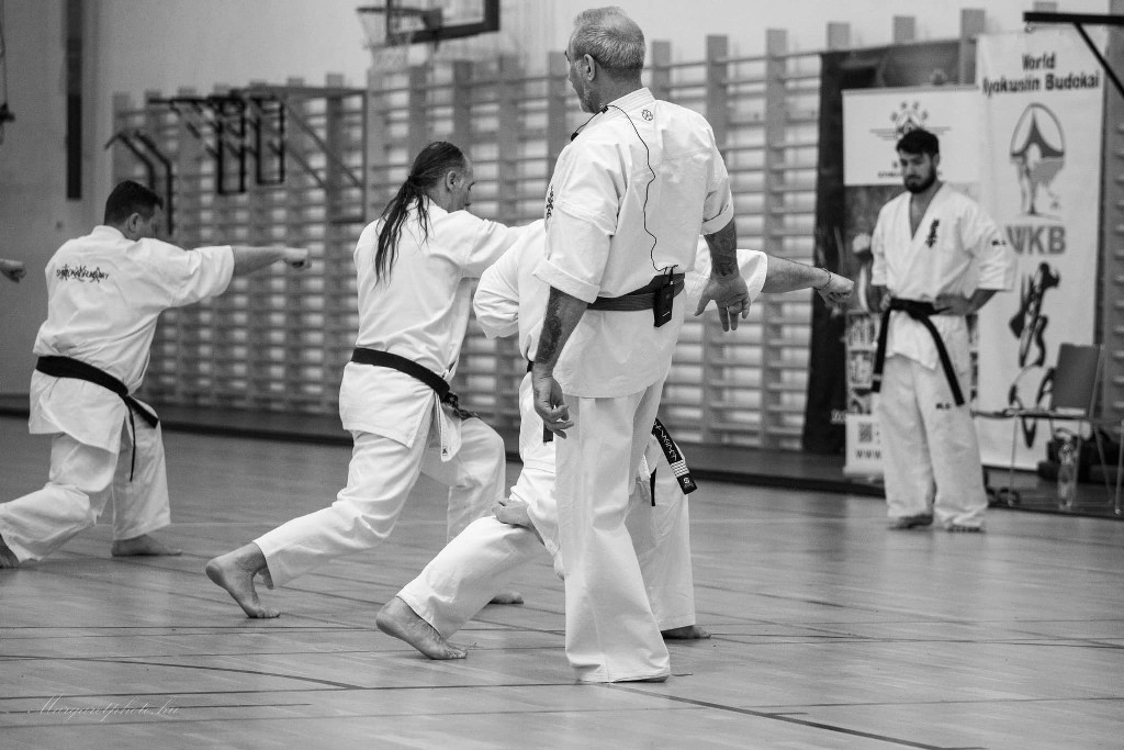 Shihan Sergei Vsevolodov Szeminárium