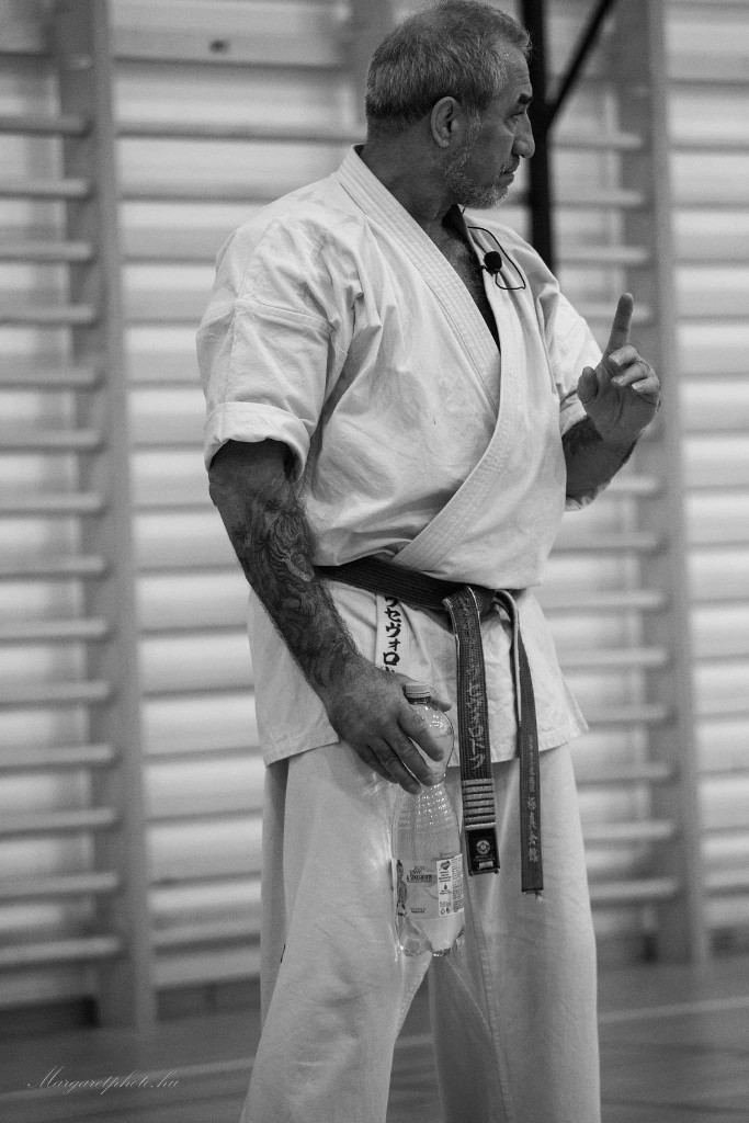 Shihan Sergei Vsevolodov Szeminárium