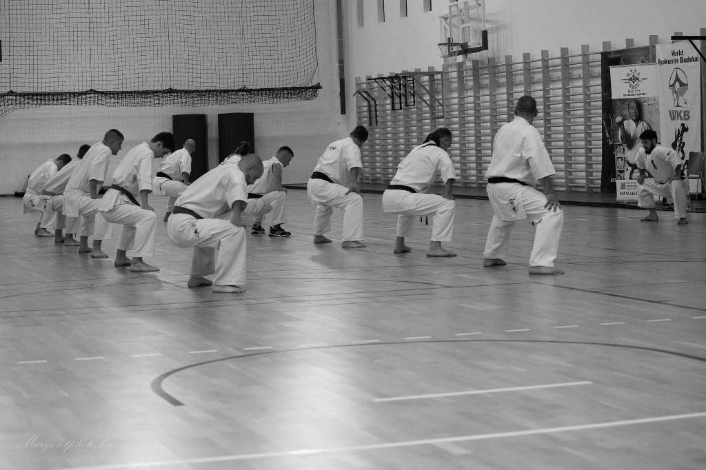 Shihan Sergei Vsevolodov Szeminárium