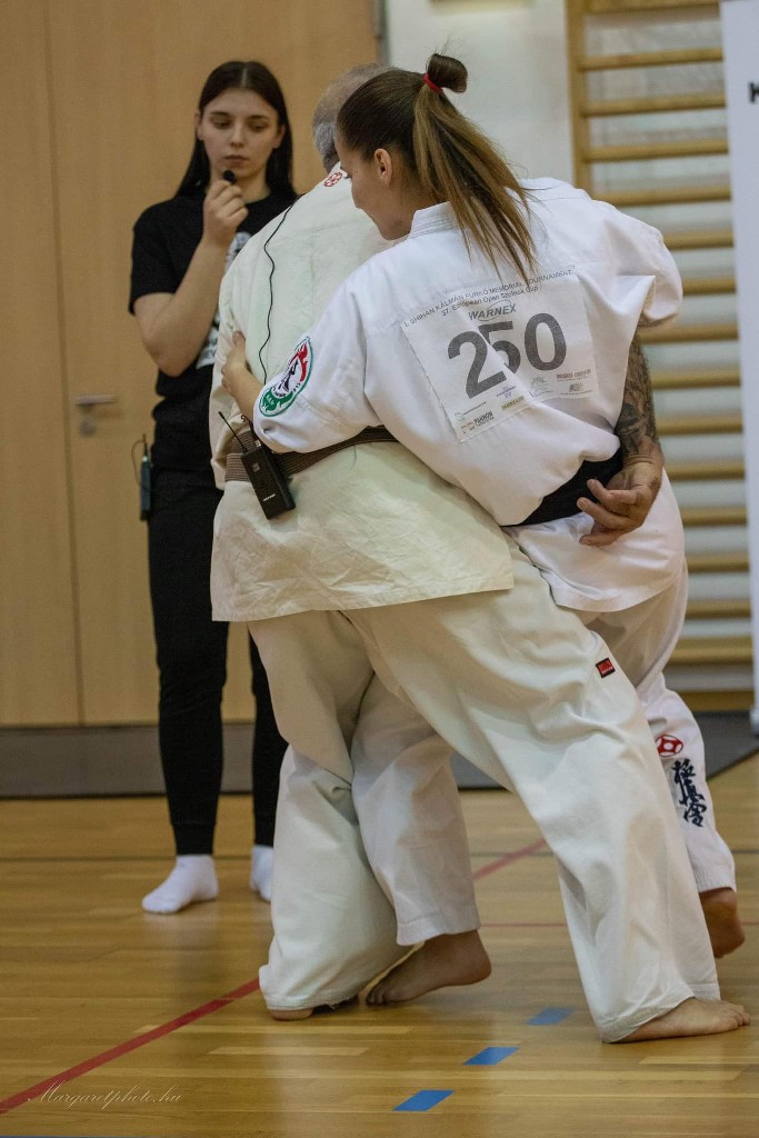 Shihan Sergei Vsevolodov Szeminárium