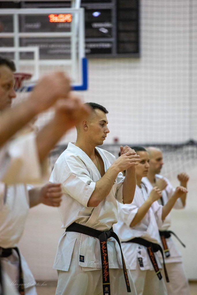 Shihan Sergei Vsevolodov Szeminárium