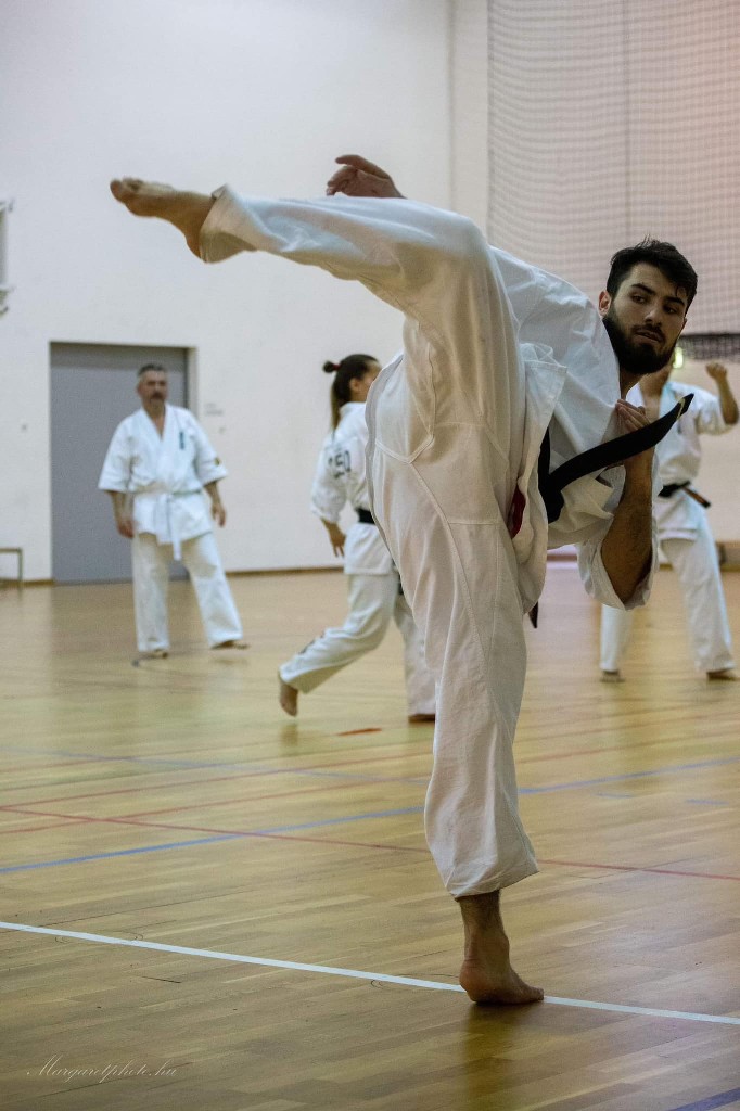 Shihan Sergei Vsevolodov Szeminárium