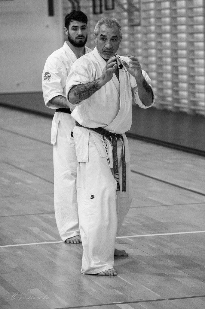 Shihan Sergei Vsevolodov Szeminárium