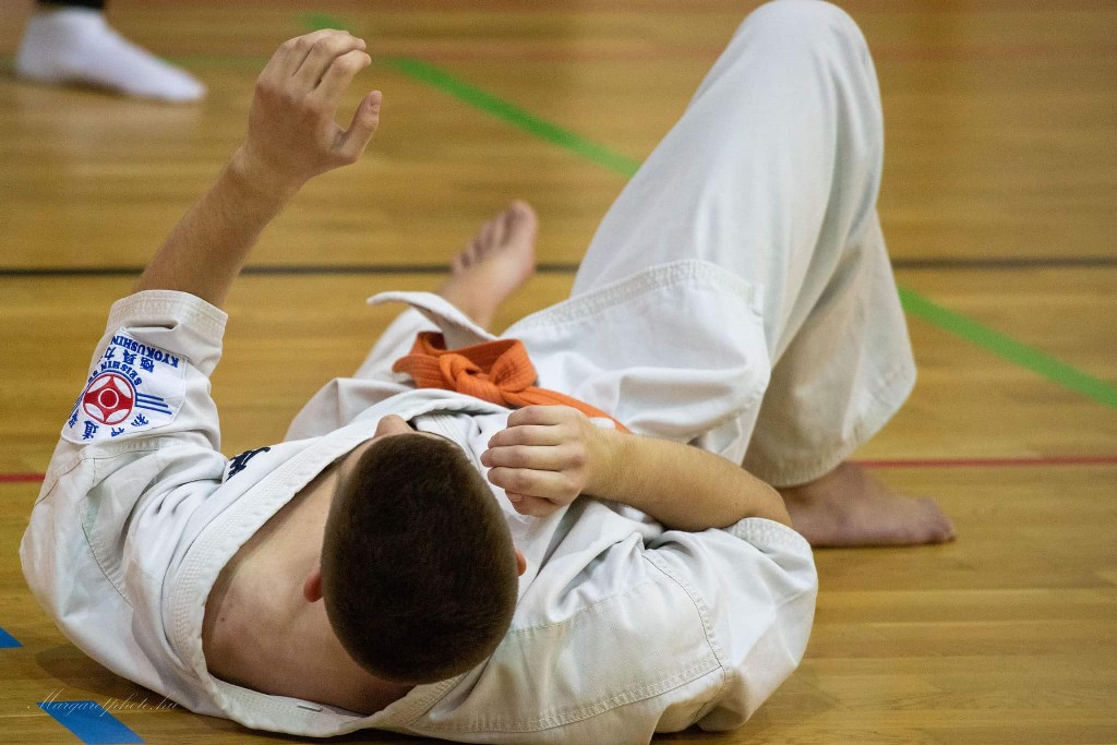 Shihan Sergei Vsevolodov Szeminárium