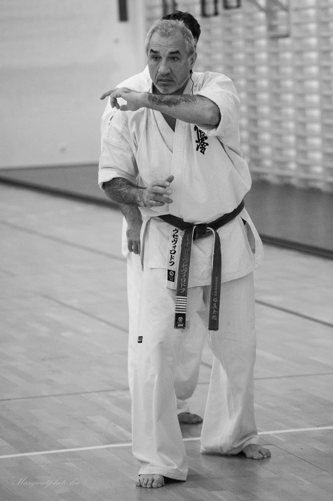 Shihan Sergei Vsevolodov Szeminárium