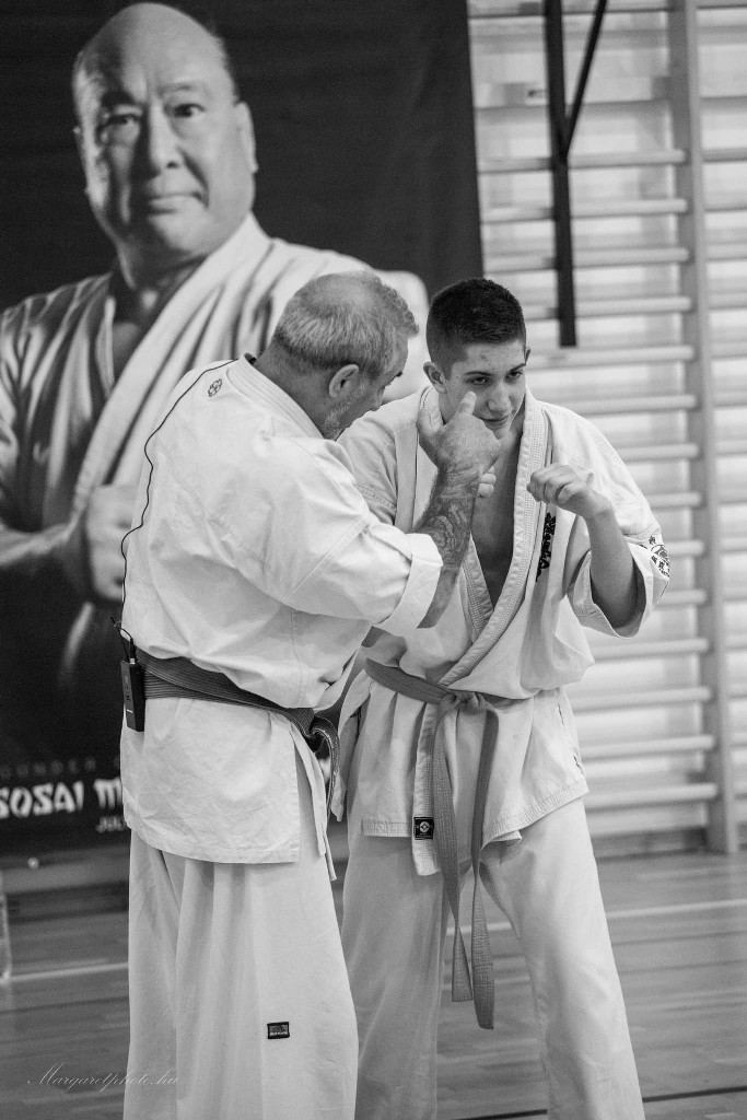 Shihan Sergei Vsevolodov Szeminárium