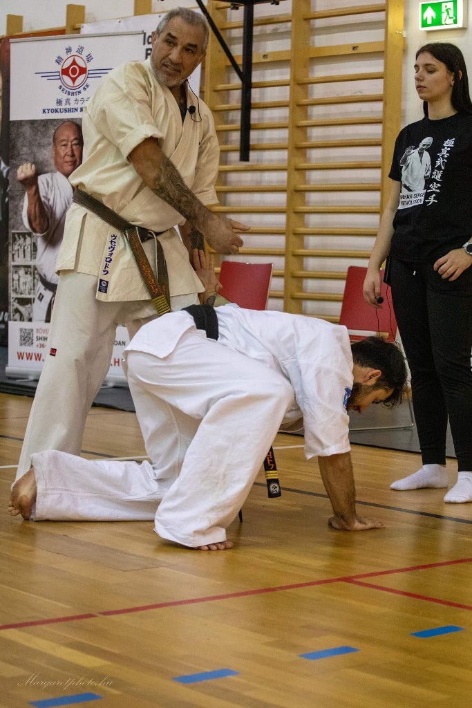 Shihan Sergei Vsevolodov Szeminárium