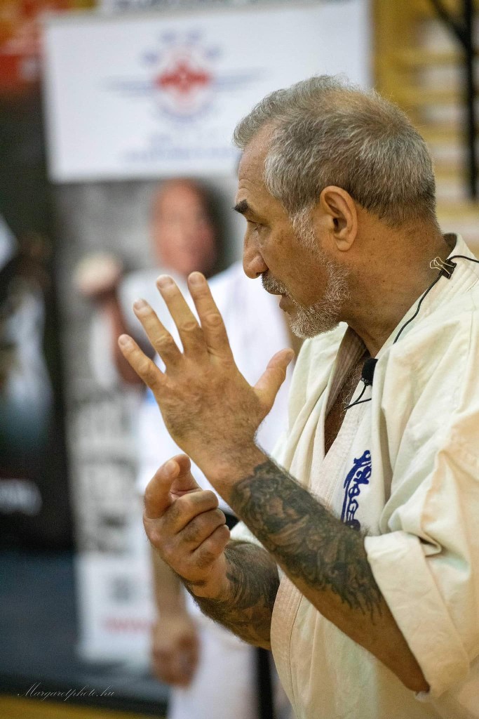 Shihan Sergei Vsevolodov Szeminárium