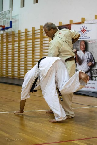 Shihan Sergei Vsevolodov Szeminárium