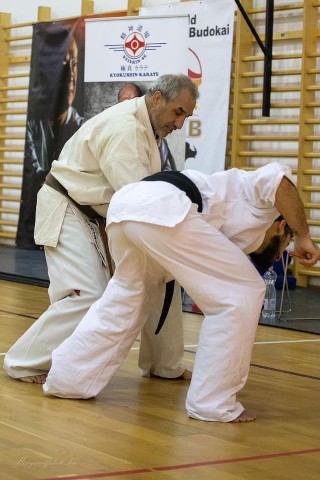 Shihan Sergei Vsevolodov Szeminárium