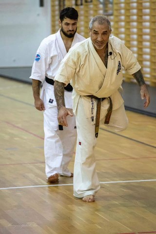 Shihan Sergei Vsevolodov Szeminárium
