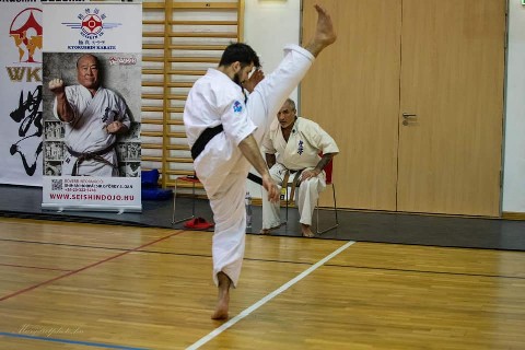 Shihan Sergei Vsevolodov Szeminárium