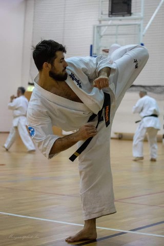 Shihan Sergei Vsevolodov Szeminárium