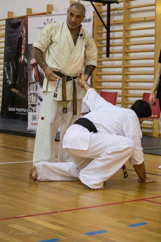 Shihan Sergei Vsevolodov Szeminárium