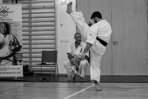 Shihan Sergei Vsevolodov Szeminárium