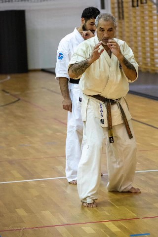 Shihan Sergei Vsevolodov Szeminárium