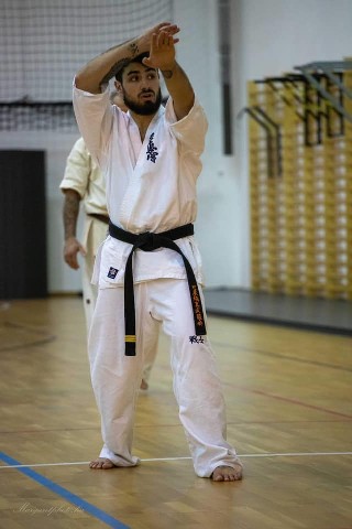 Shihan Sergei Vsevolodov Szeminárium