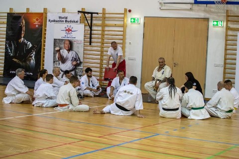 Shihan Sergei Vsevolodov Szeminárium