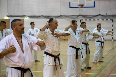 Shihan Sergei Vsevolodov Szeminárium