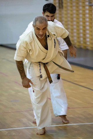 Shihan Sergei Vsevolodov Szeminárium