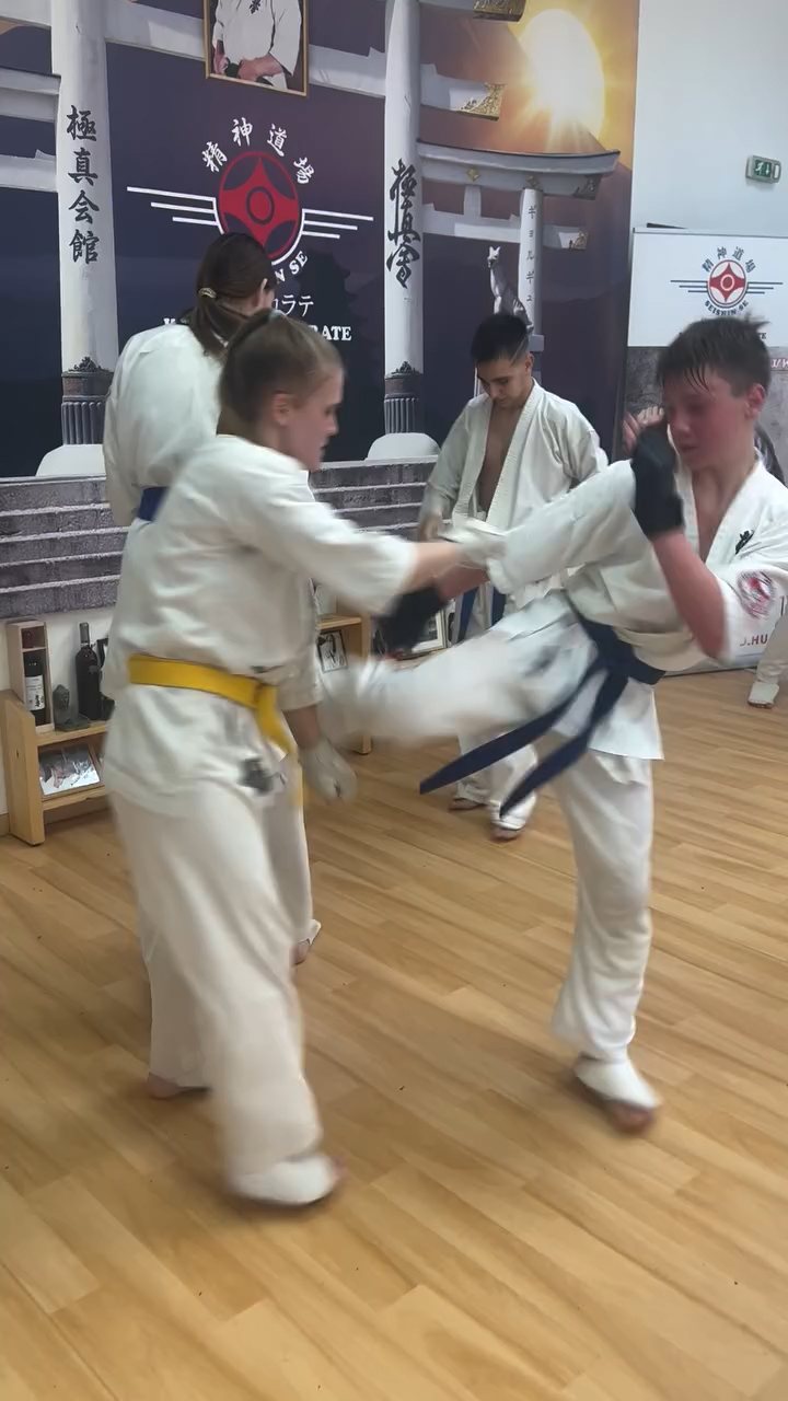 Fighting training at the Seishin Dojo 🥋⛩