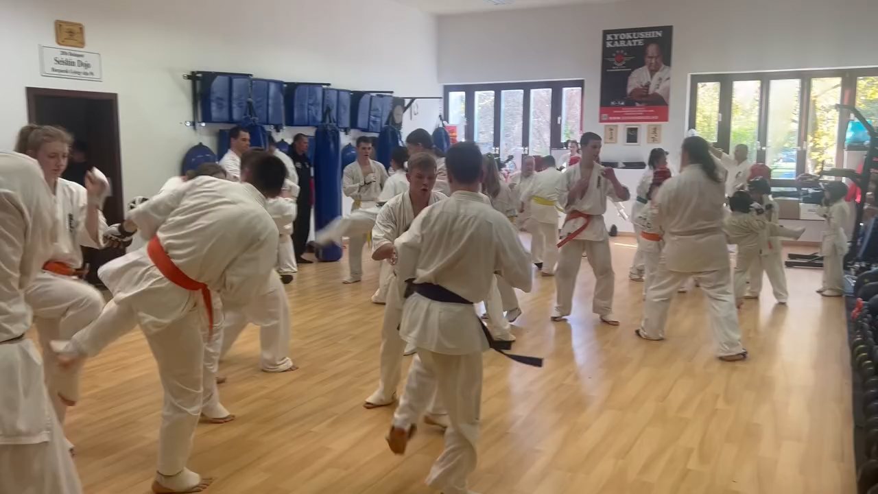 Fighting training at the Seishin Dojo 🥋⛩