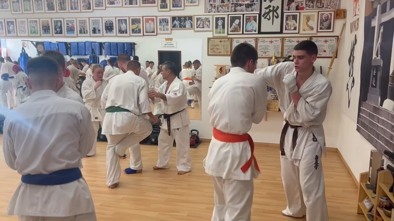 Fighting training at the Seishin Dojo 🥋⛩