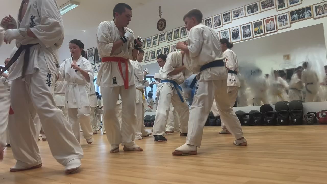 Fighting training at the Seishin Dojo 🥋⛩