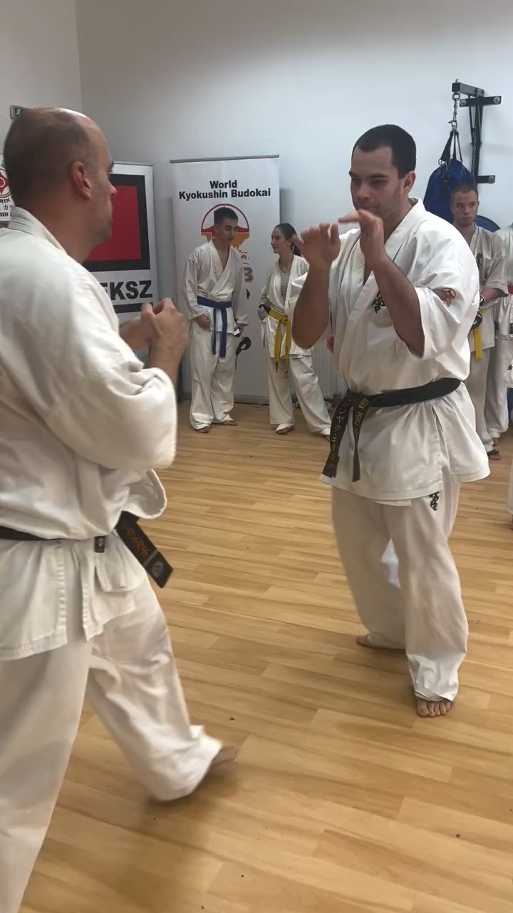 Fighting training at the Seishin Dojo 🥋⛩