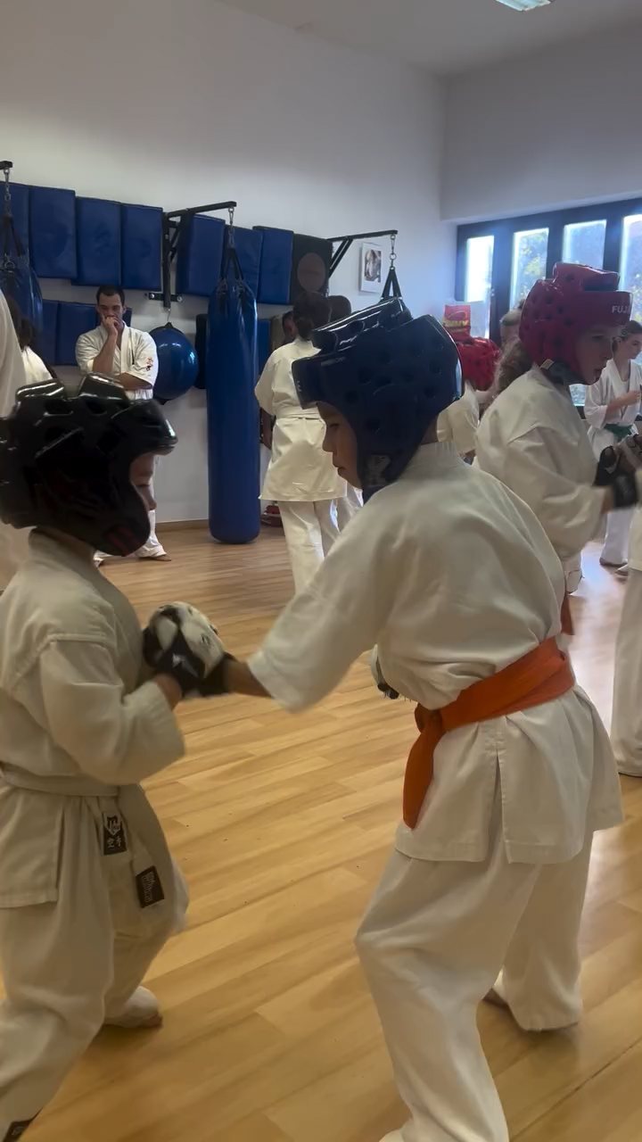 Fighting training at the Seishin Dojo 🥋⛩