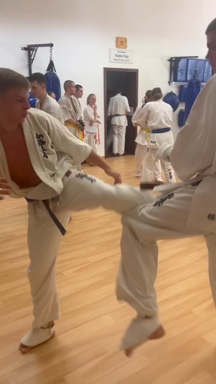 Fighting training at the Seishin Dojo 🥋⛩