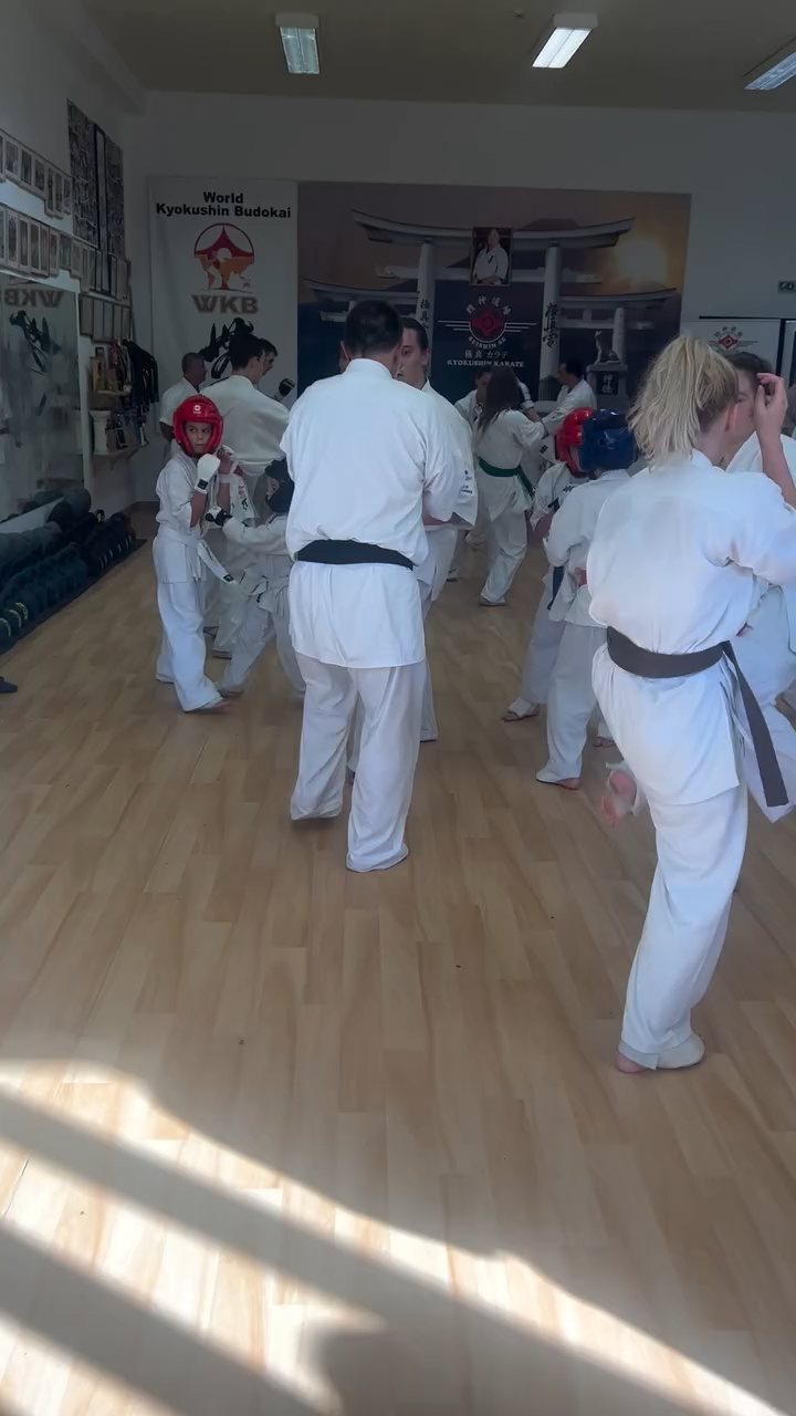 Fighting training at the Seishin Dojo 🥋⛩
