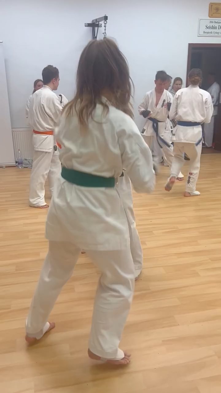 Fighting training at the Seishin Dojo 🥋⛩